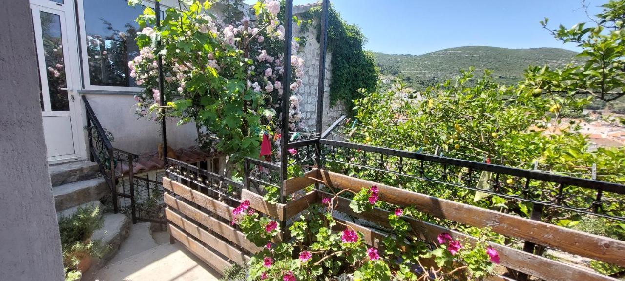 Panoramic View With Jacuzzi *