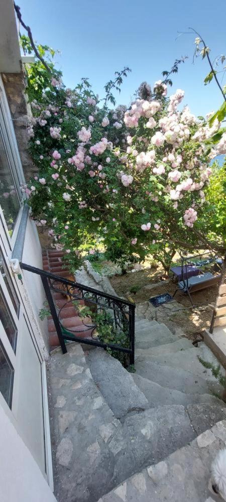 Panoramic View With Jacuzzi Apartment Vis